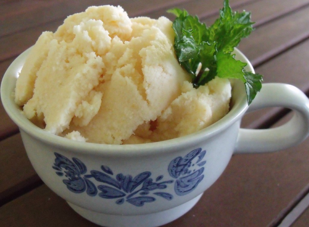 cantaloupe ice cream cup