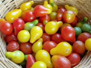 tomato basket