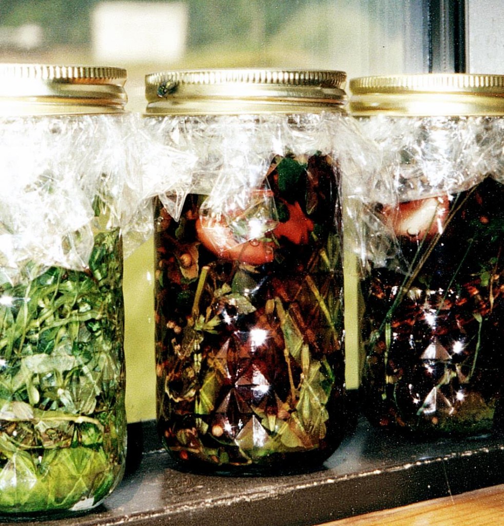 herb vinegar jars