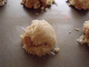 coconut cookie bake