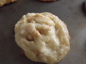 coconut cookie