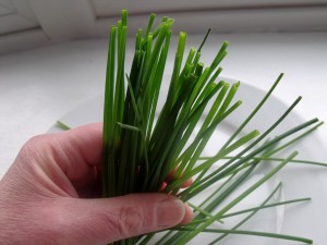 chives