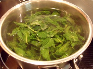 mint tea slush leaves