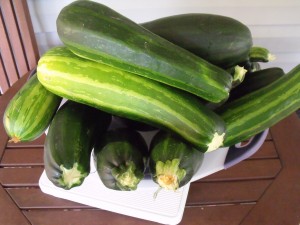 zucchini bowl 2