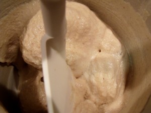 apple butter ice cream in ice cream maker