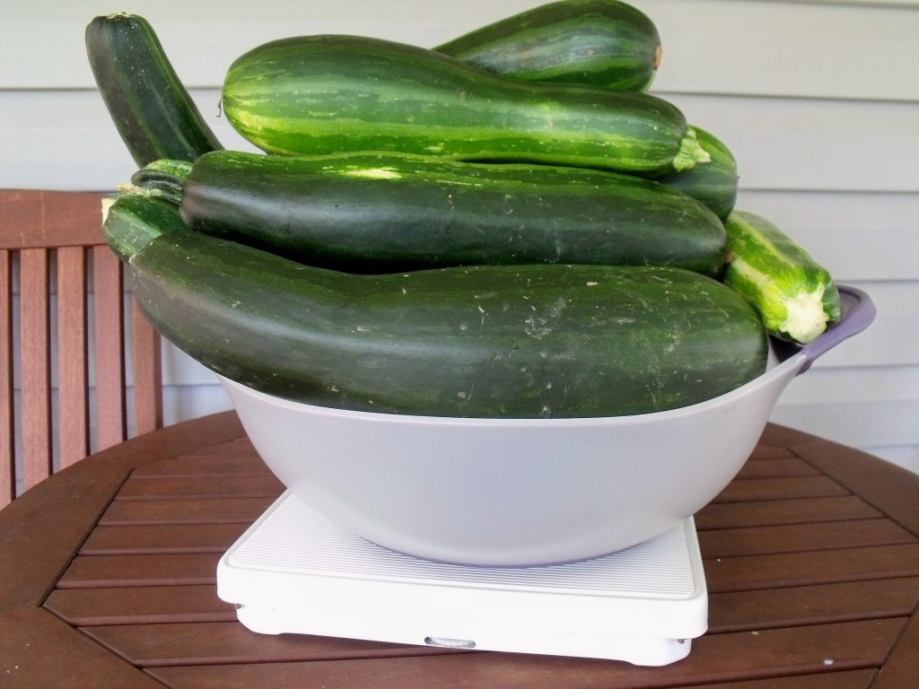 zucchini bowl front