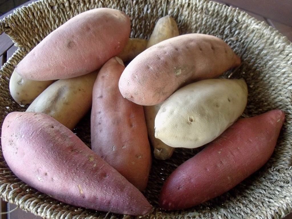 California Sweetpotatoes