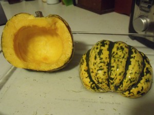 carnival squash