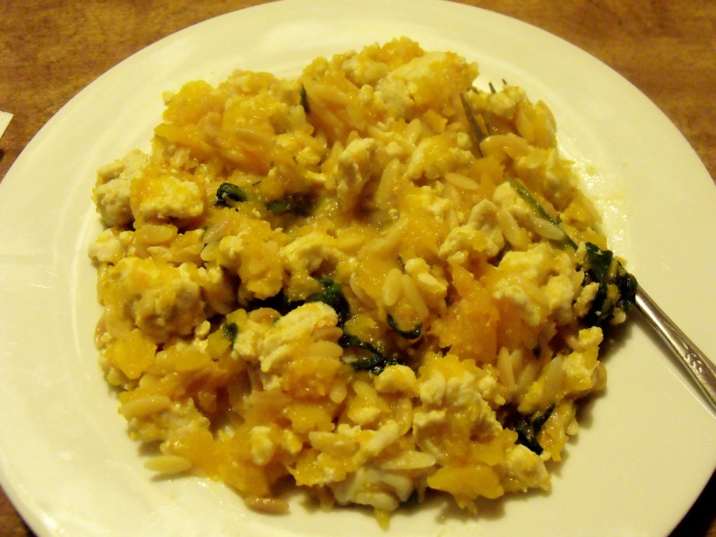 Turkey Butternut Orzo Casserole