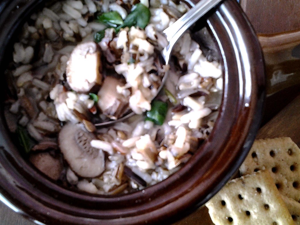 mushroom wild rice close