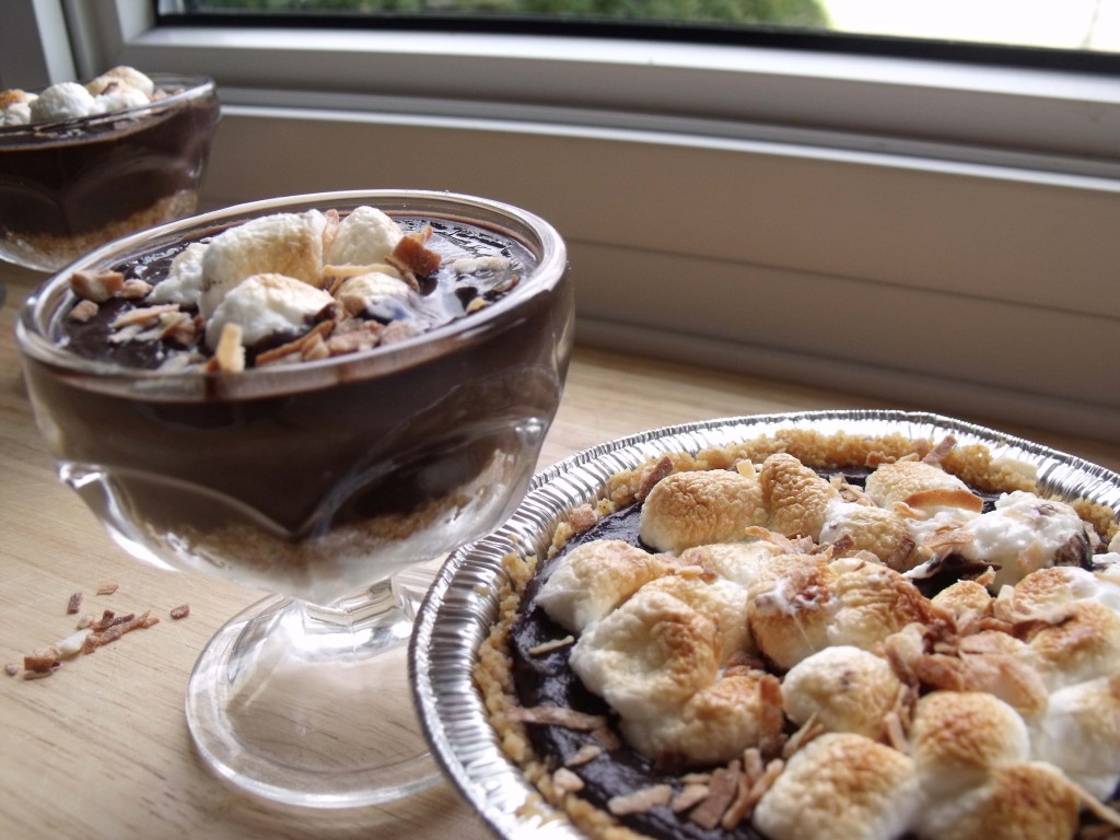 Chocolate Coconut Joy Pudding 