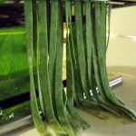 spinach pasta ribbons