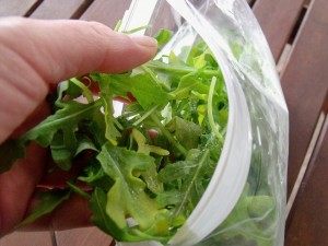 freezer harvest soup greens