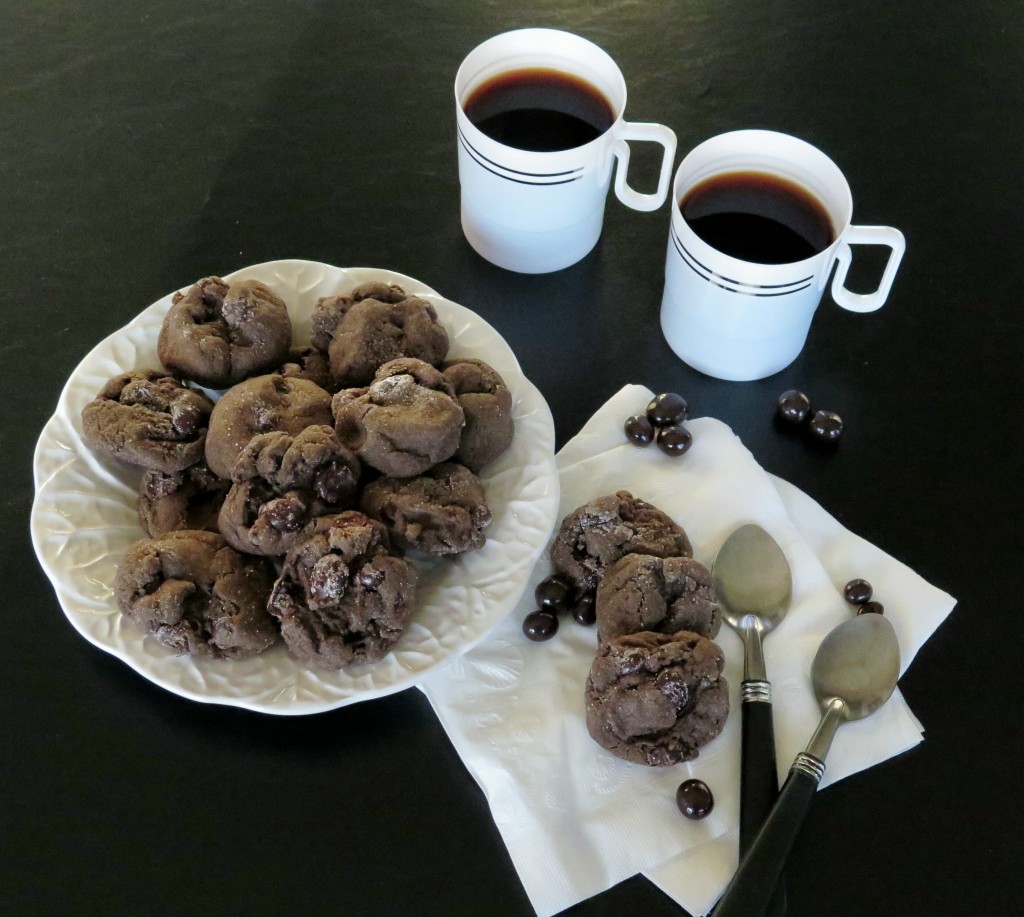 Chocolate Spice Coffee Bean Cookies