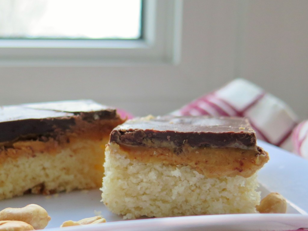 Chocolate Peanut Butter Tandy Cake piece