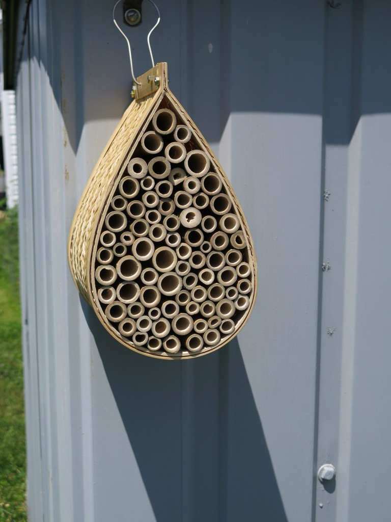 beebold bee house