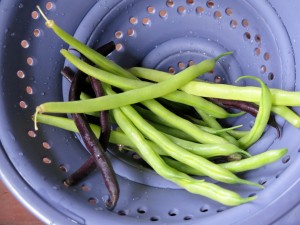 yelow purple beans