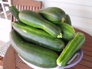 zucchini contest