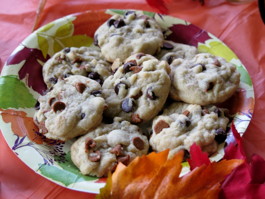 cinnamon chocolate chip cookies