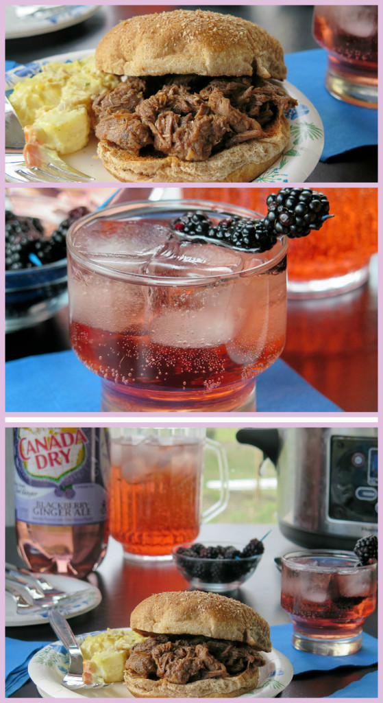 Canada Dry® Blackberry Ginger Ale Beef BBQ party