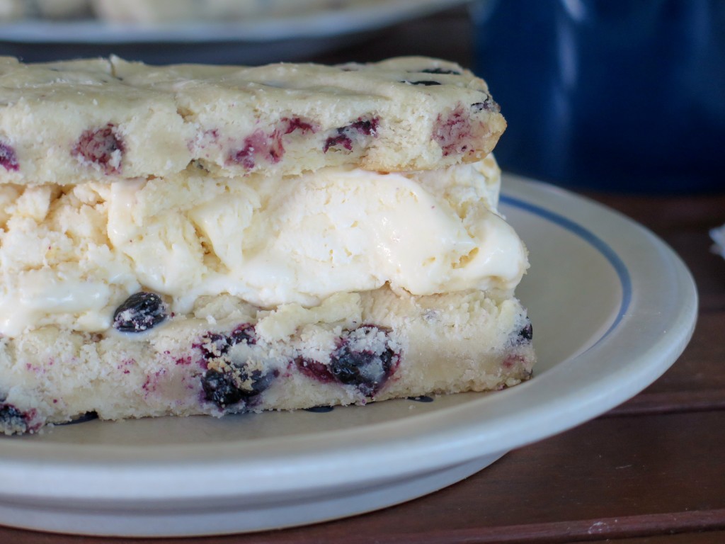 Blueberry Ice Cream Cookie Bar