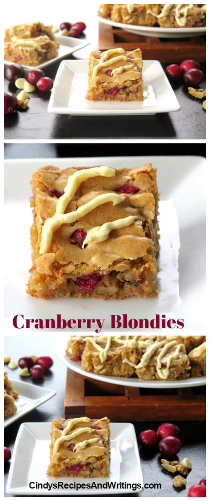Cranberry Blondies