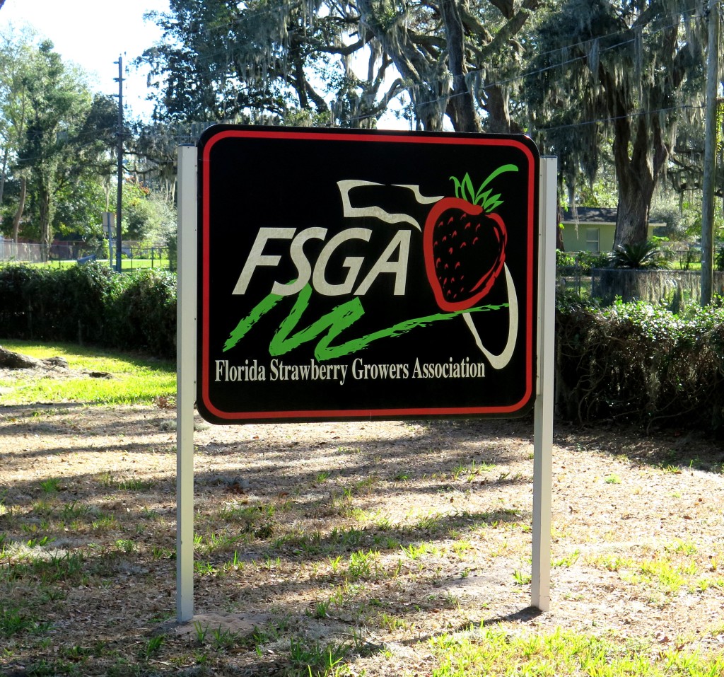 FSGA