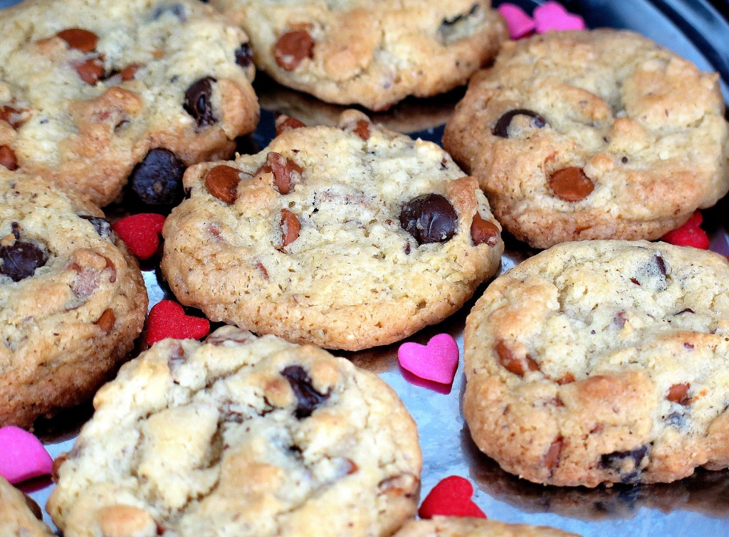 Hazelnut Cinnamon Chocolate Chip 