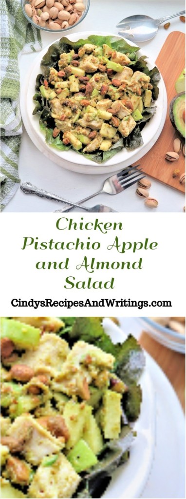 Chicken Pistachio Apple and Almond Salad
