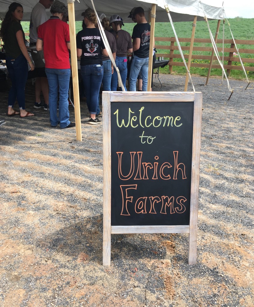 welcome ulrich farms