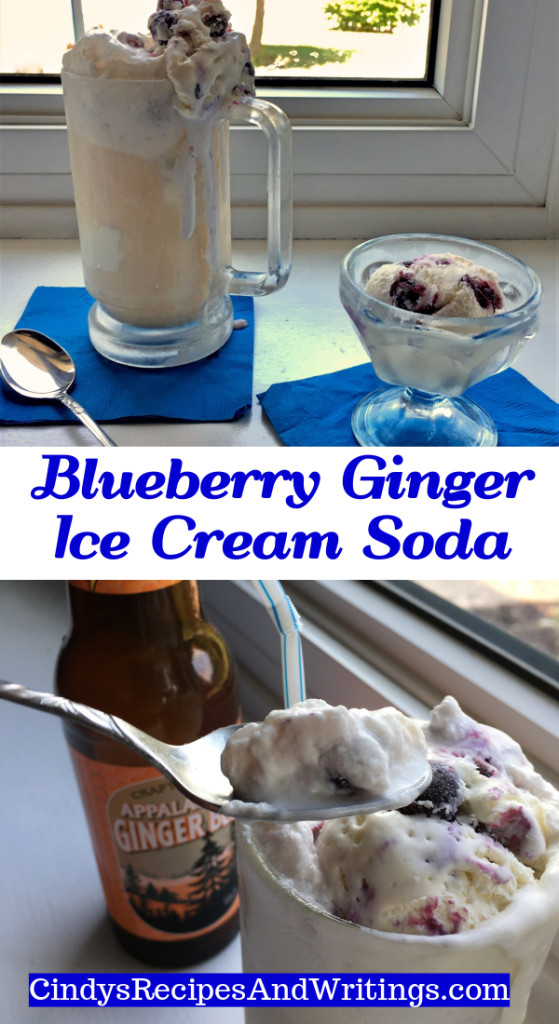 Blueberry Ginger Ice Cream Soda