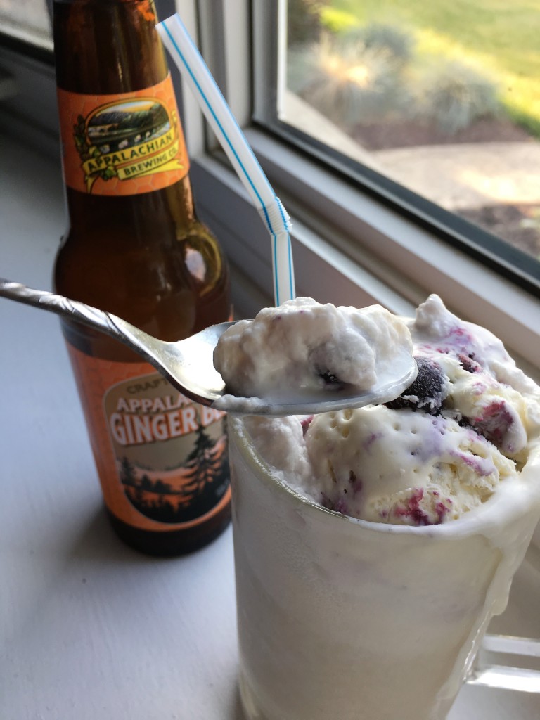 Blueberry Ginger Ice Cream Soda and bottle