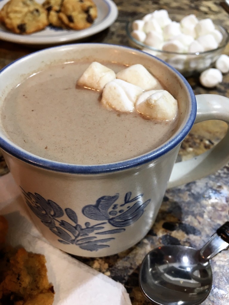 malted Hot Cocoa