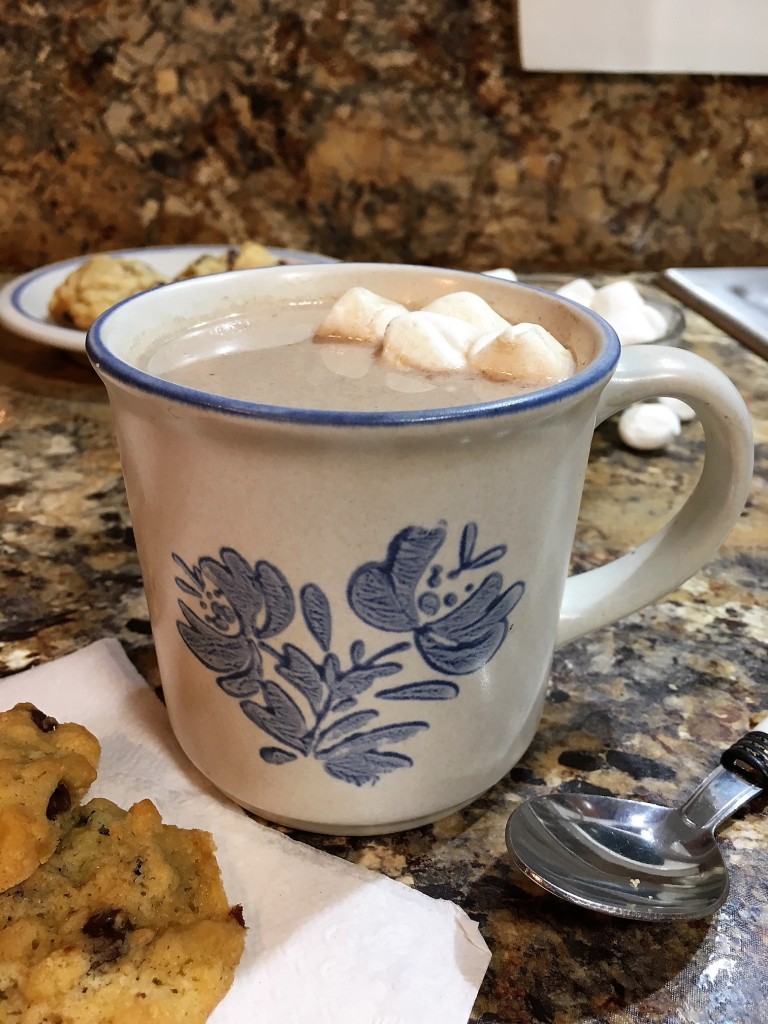 Malted Hot Cocoa