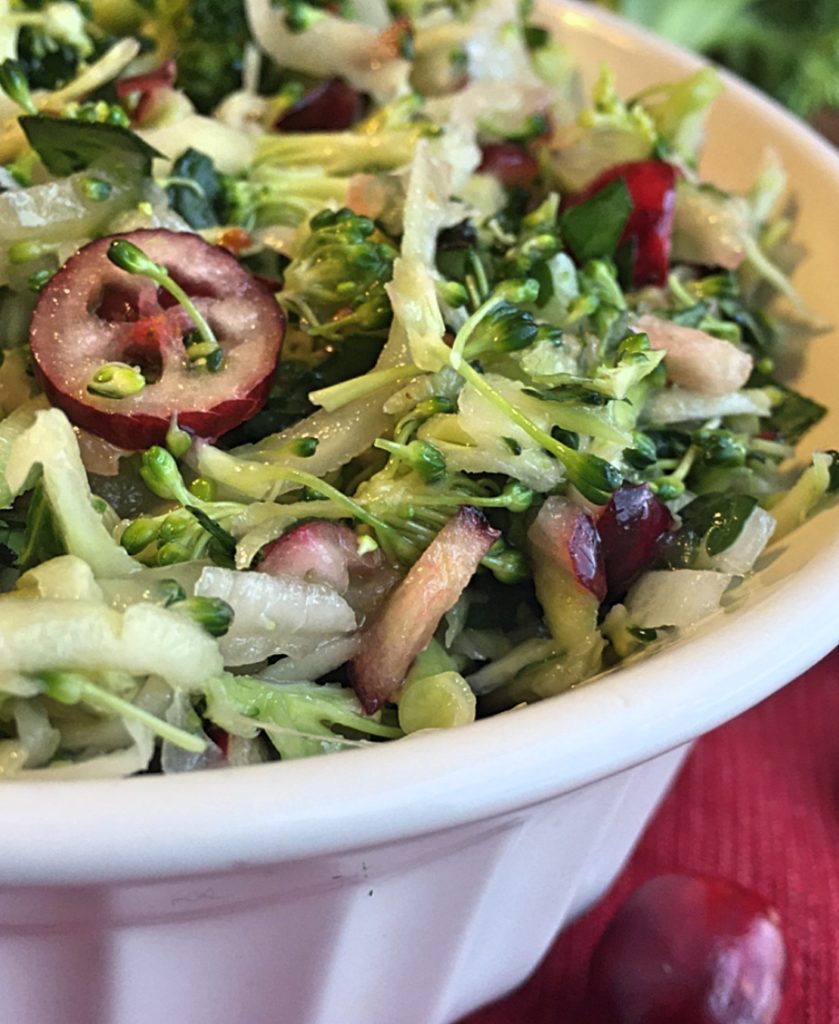 Cranberry Broccoli Slaw